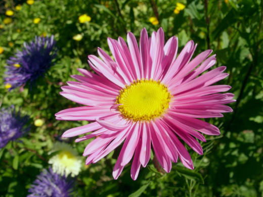 431771 (a): :1600x1200